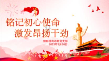 炒土豆第一放什么调料，然后放什么？游戏画面