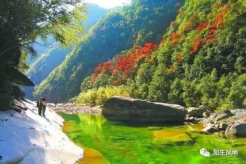 精灵格蕾